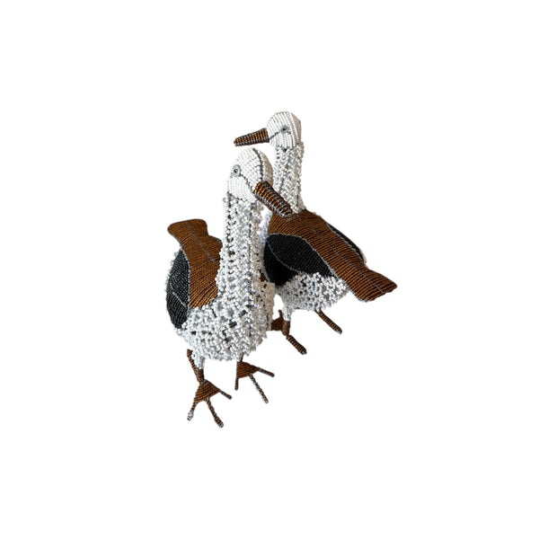 Duck 12'' South Africa