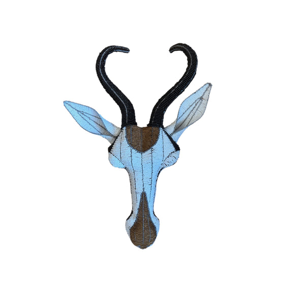Medium Springbok Trophy head