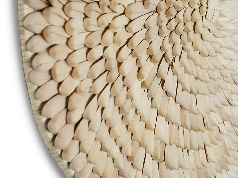 Porcupine Wall Hanging Baskets