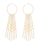 Porcupine Earrings