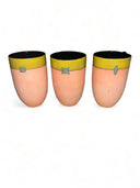 Pastel Tall Beaker
