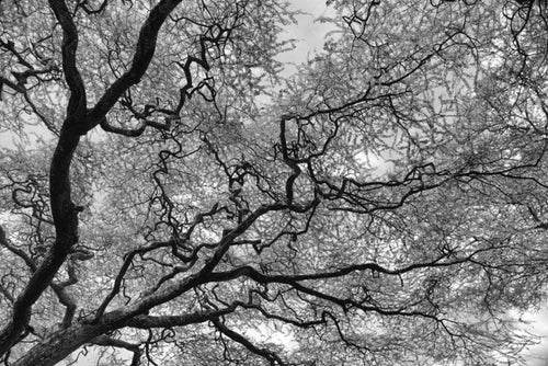 The Reach, Xtina Parks
