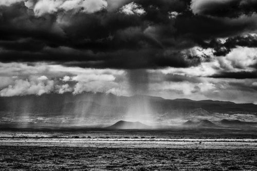 Amboseli Shower, Xtina Parks