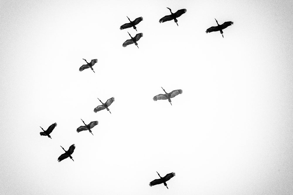 The Sky of Freedom, Xtina Parks