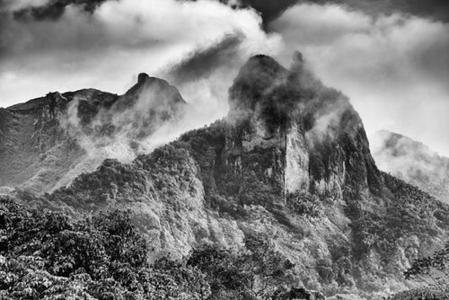 Bale Rider, Xtina Parks