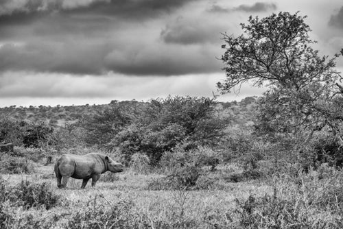 Delta Pause, Xtina Parks