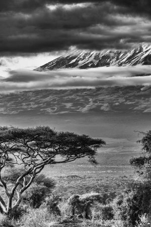 Dream of Kilimanjaro Portrait, Xtina Parks