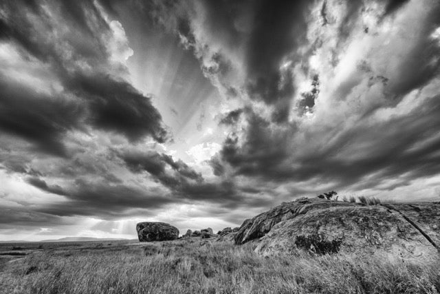 Let Sleeping Lions, Xtina Parks