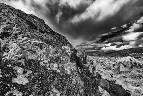 Lichen and Clouds, Xtina Parks