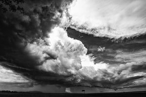 Mara Train, Xtina Parks