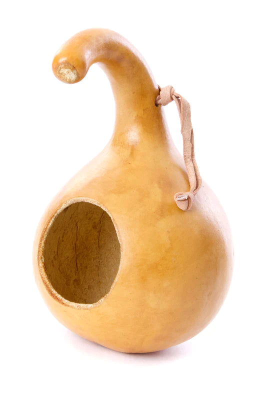 Calabash Gourd Bird House with Leather Hanging Loop
