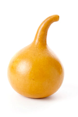 Decorative Calabash Gourd