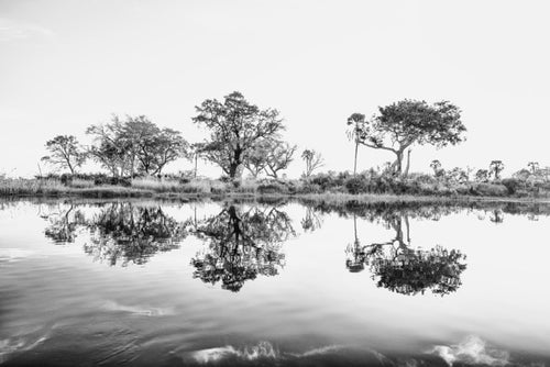 Okavanga Dreaming, Xtina Parks