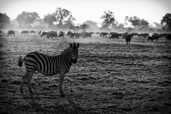 Ready to Go, Xtina Parks