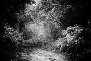 Secret Garden, Xtina Parks