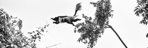 Superfly, Xtina Parks