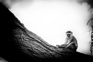 The Pose, Xtina Parks