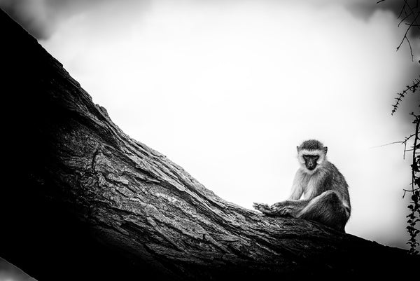 The Pose, Xtina Parks