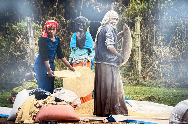 The Chafing of the Teff, Ethiopia