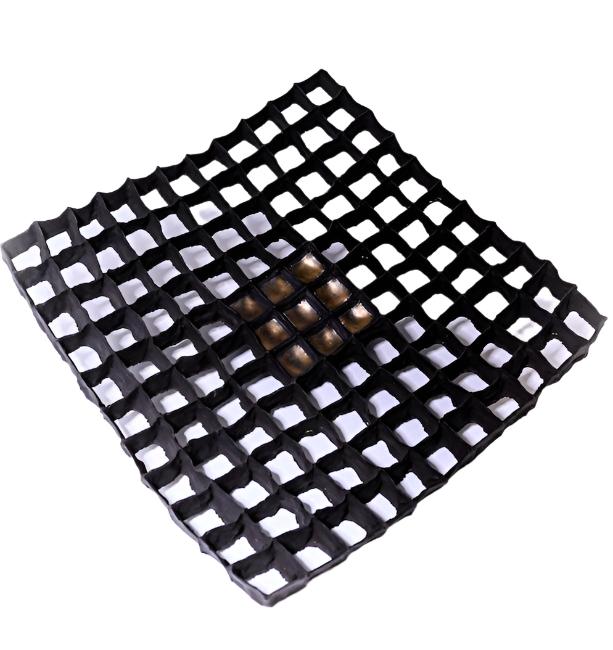 Hennie Meyer Grid 1