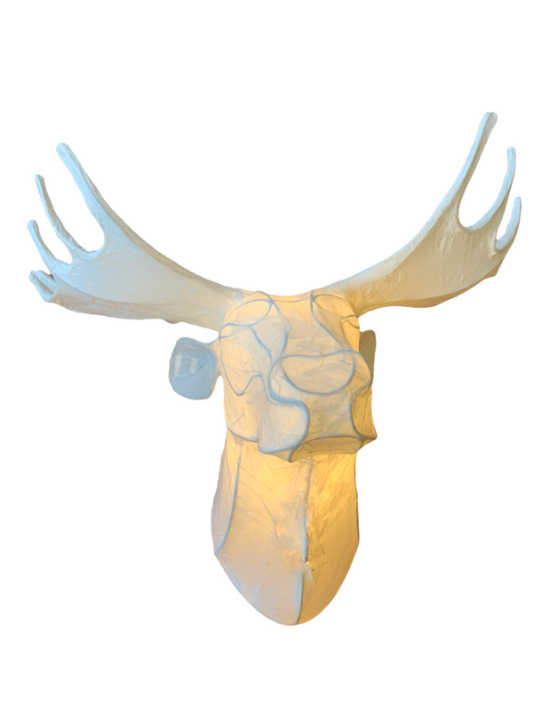 Lighted Moose Unmounted Trophy Head