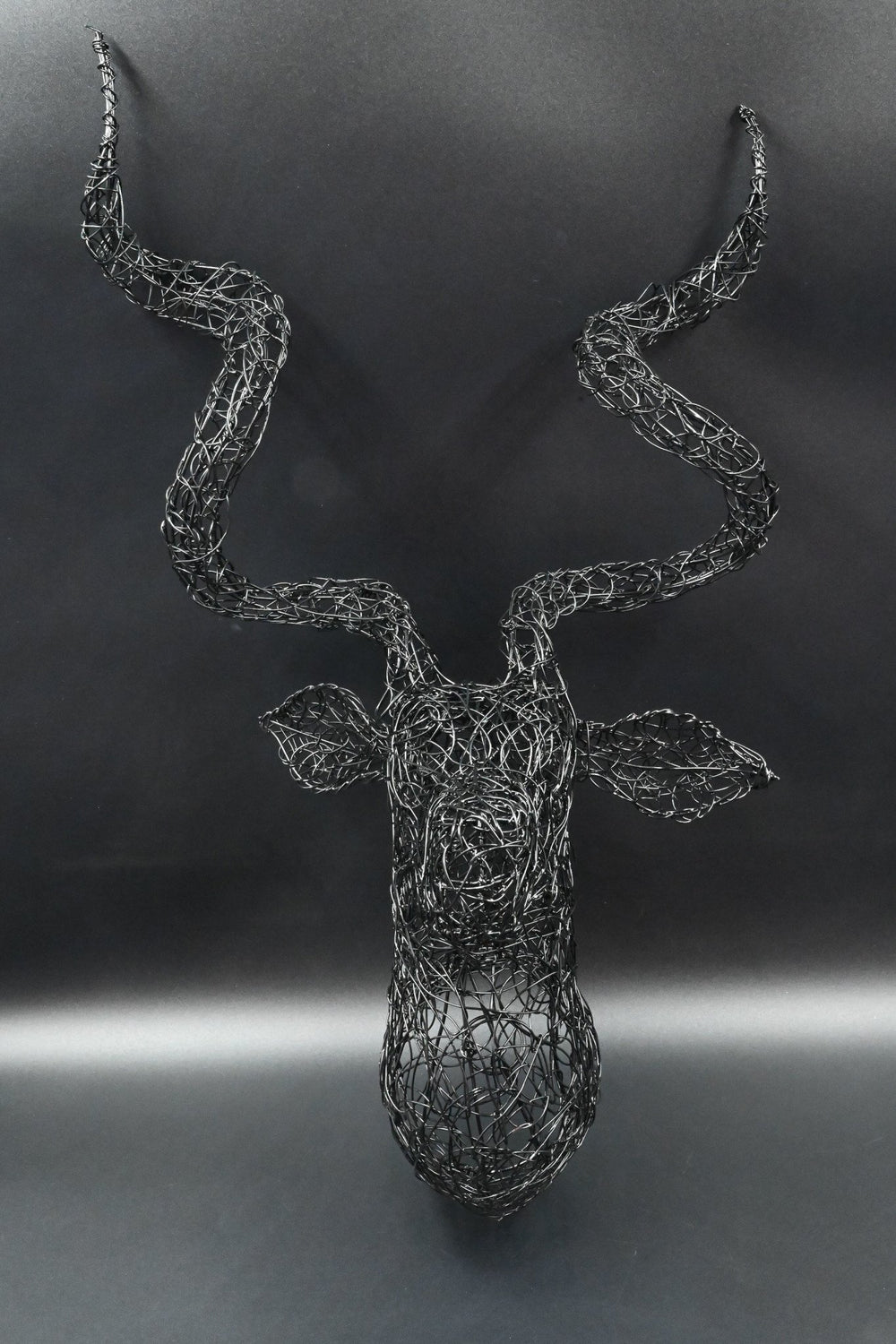 Kudu Wire Trophy Head, South Africa