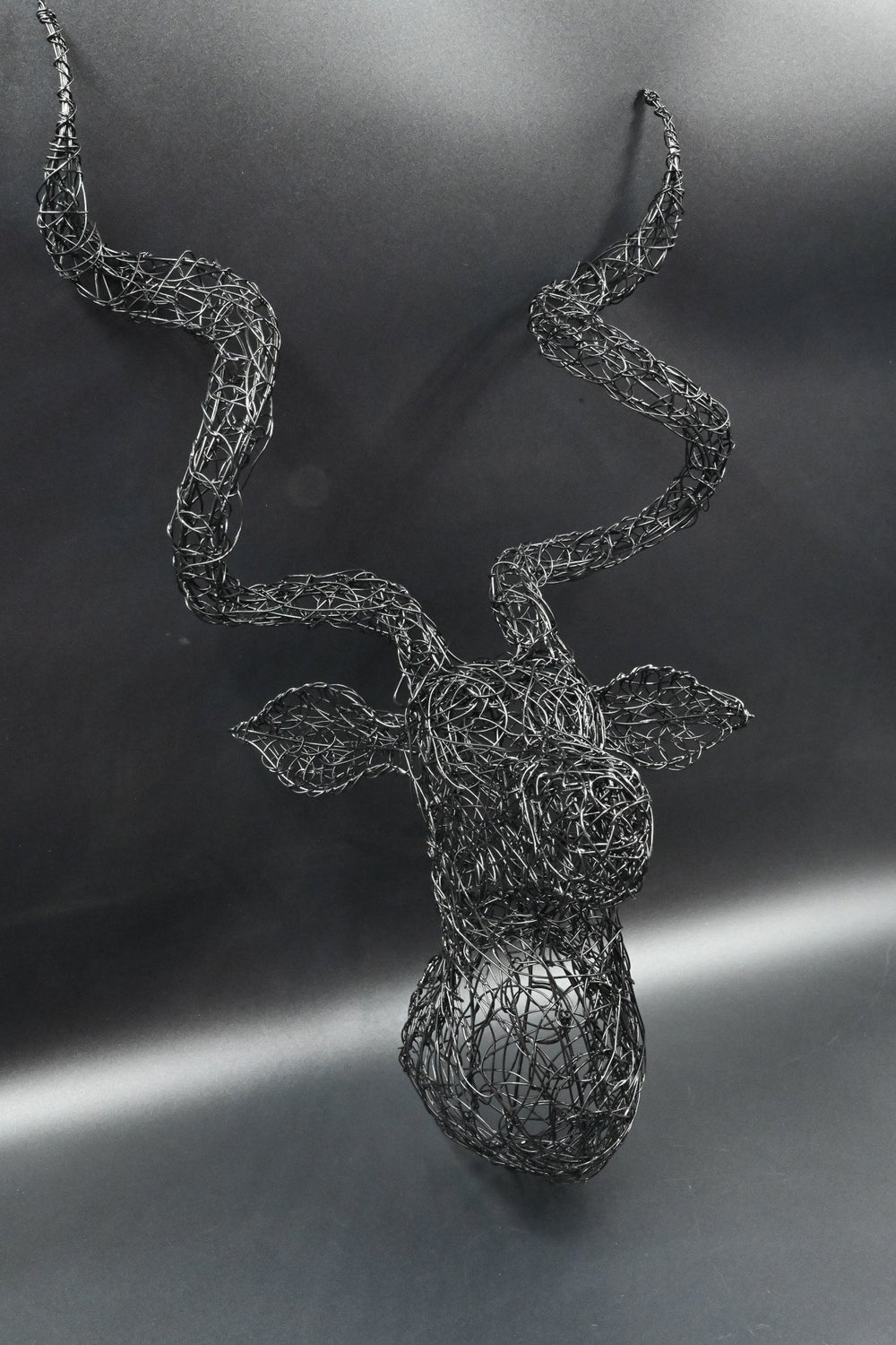 Kudu Wire Trophy Head, South Africa