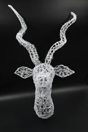 Kudu Wire Trophy Head, South Africa