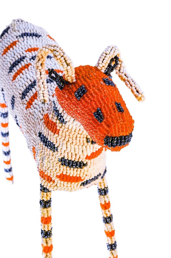 Premiere White & Orange Ram